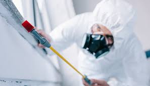 Pest Control for Hotels in Bloomfield, NM